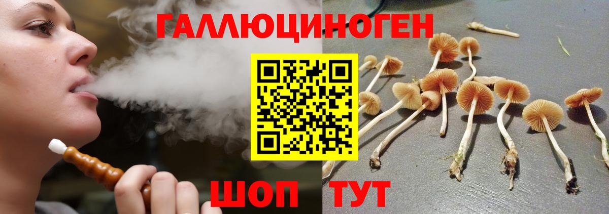 Псилоцибиновые грибы Cubensis Советская Гавань
